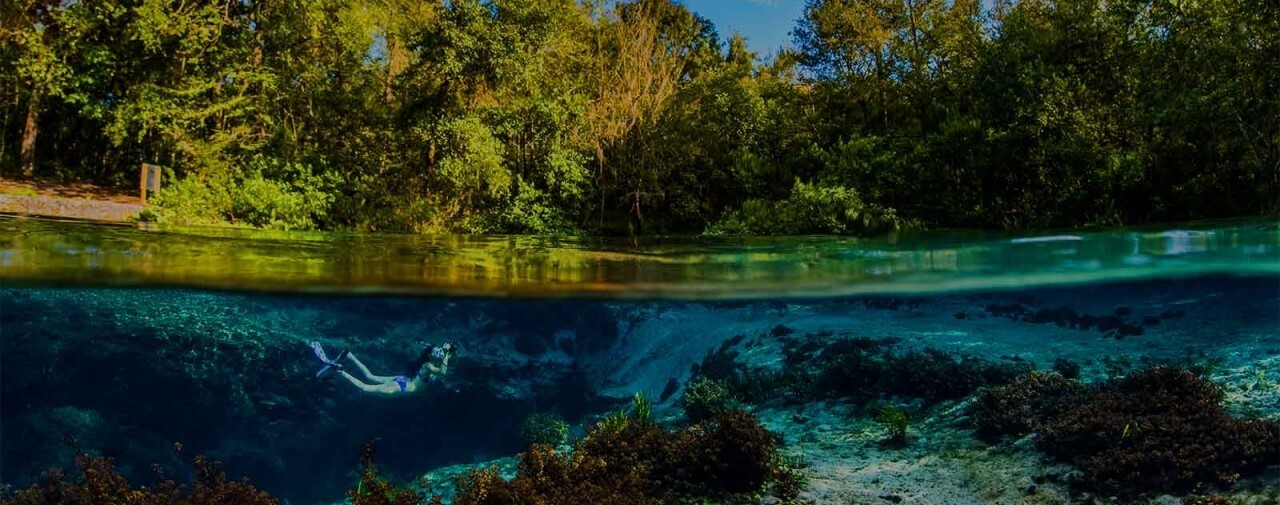 a person snorkeling underwater in a spring