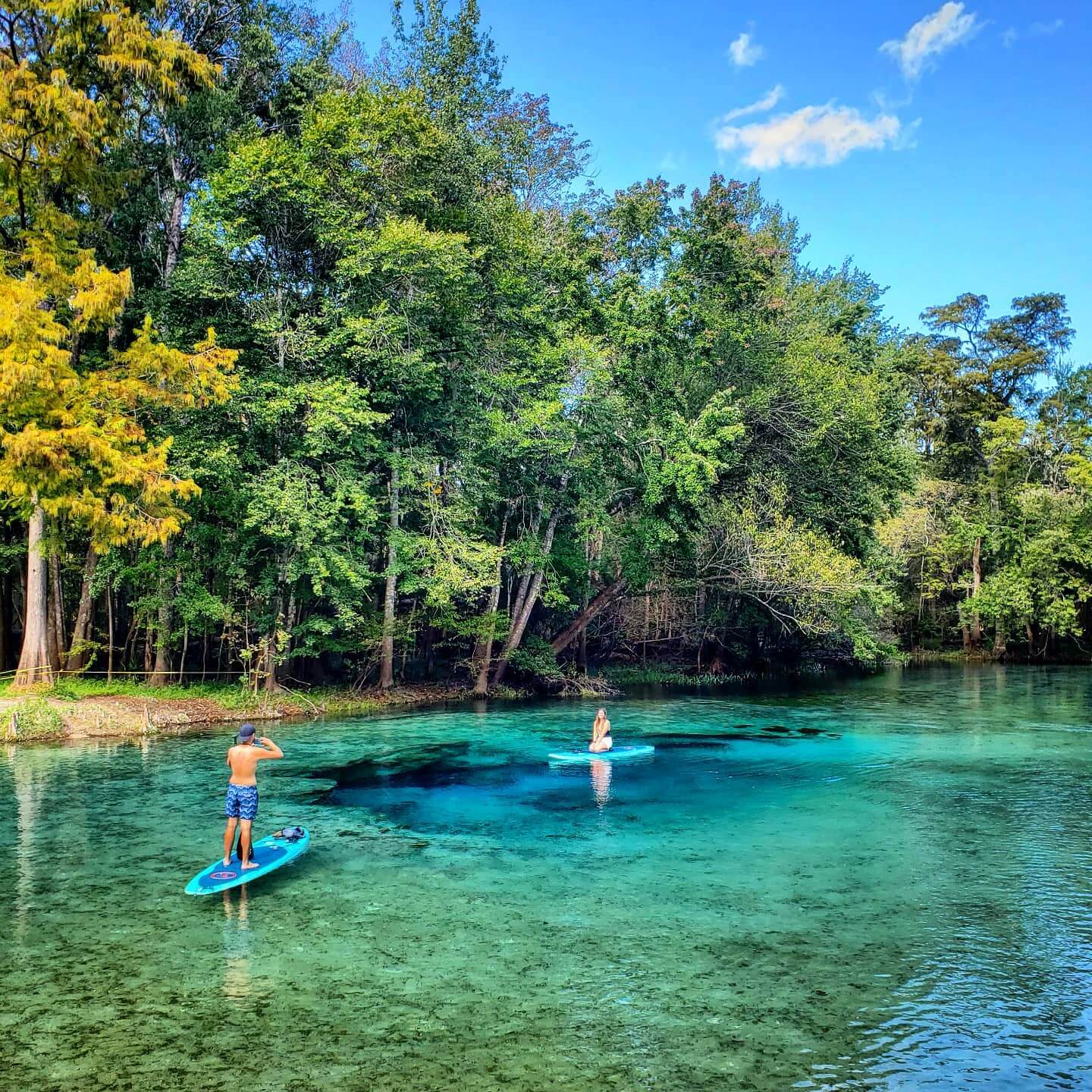 people paddleboarding at ginnie springs