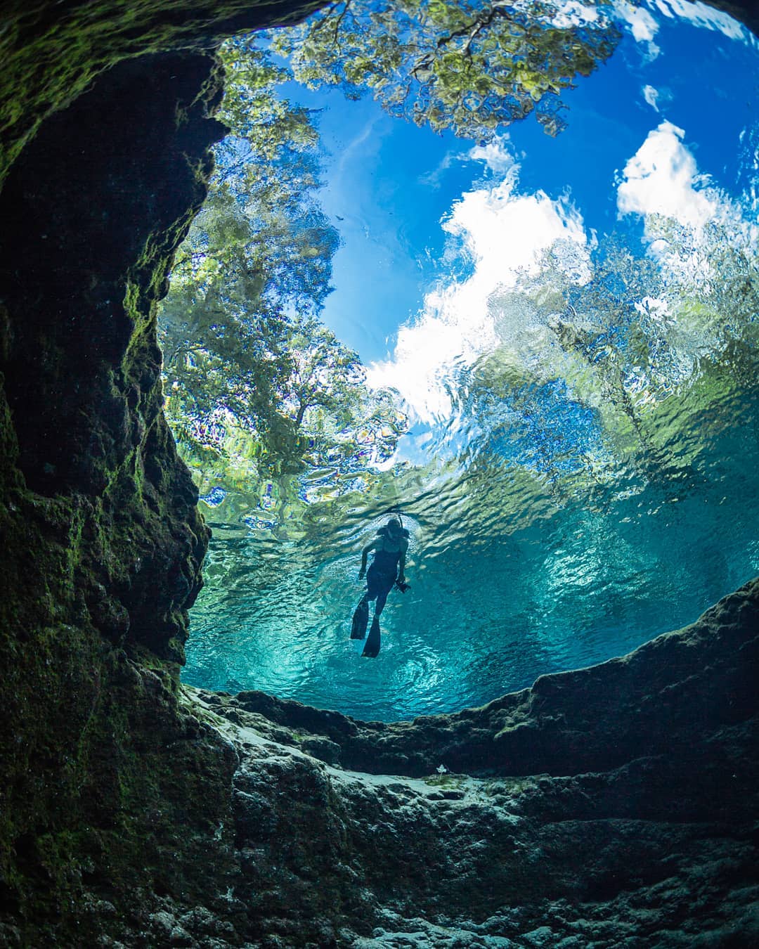view of a snorkeler from below at Ginnie Springs