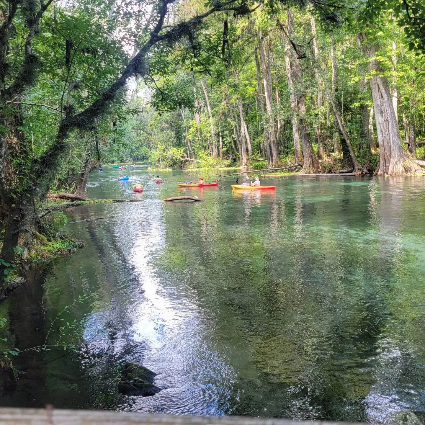 kayakers from a distance at Ichetucknee Springs