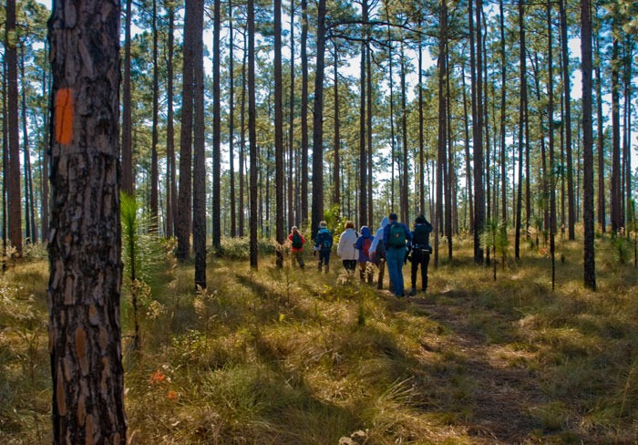 people hiking the Florida Trail