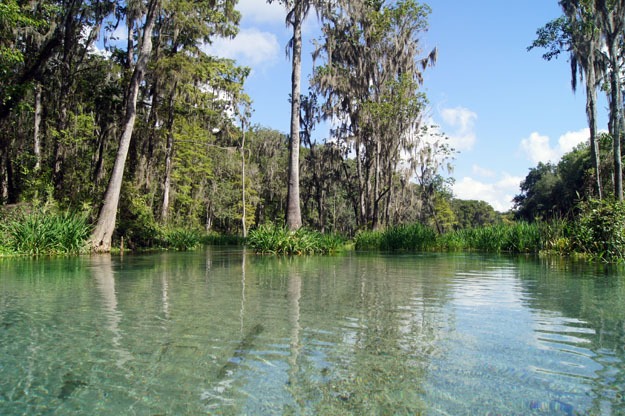 Bright blue skies offset the crystal clear water on the Ichetucknee River