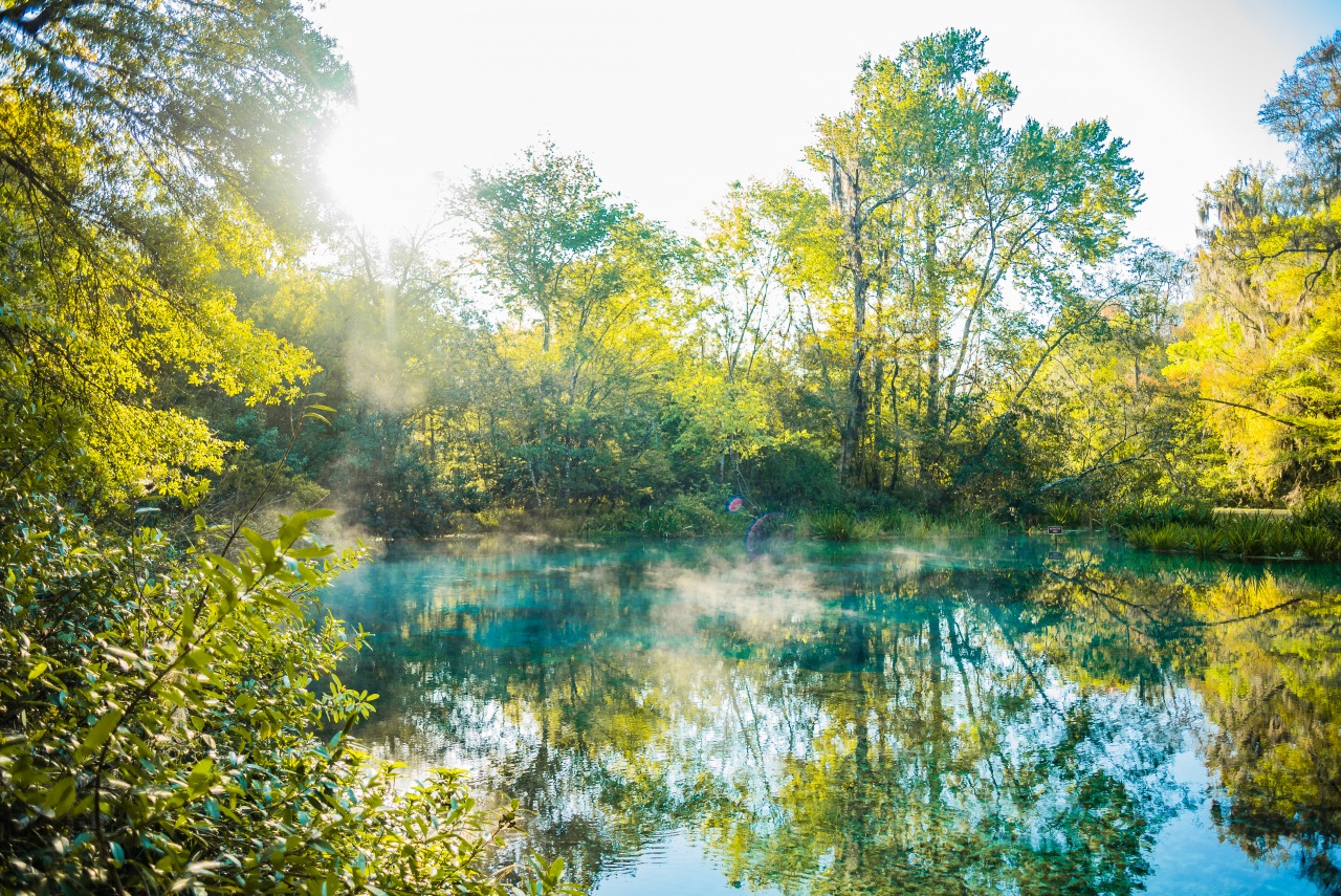 Headspring at Ichetucknee Springs State park