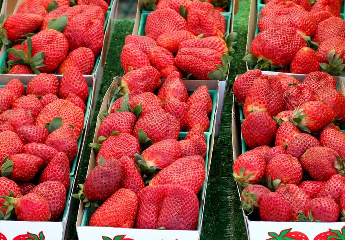 strawberries at the farmers market