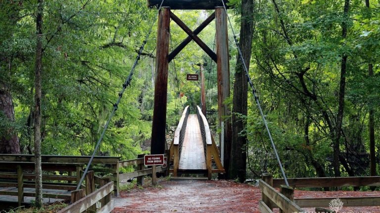 a bridge in O'Leno State Park