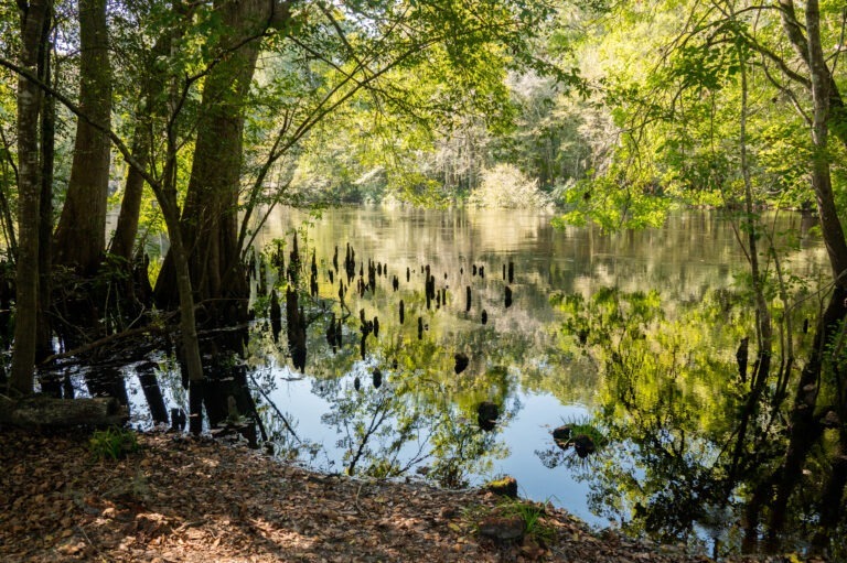Rum Island Spring and Park Lake - Rum Island 33 1 768x511 