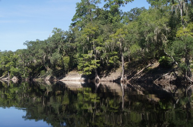 Enjoy the peace of the Suwannee River as nature surrounds you