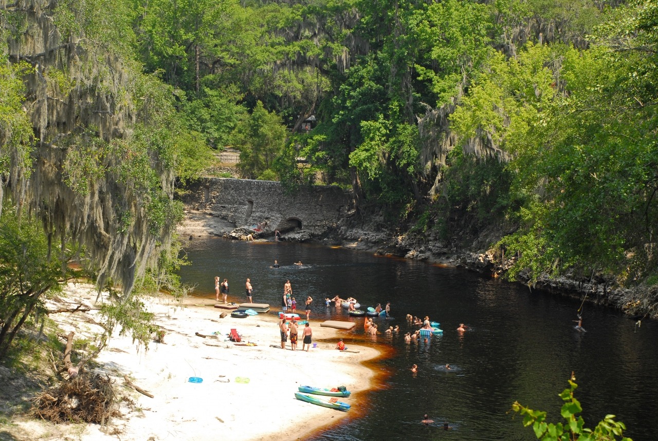 people swimming in Suwannee Springs