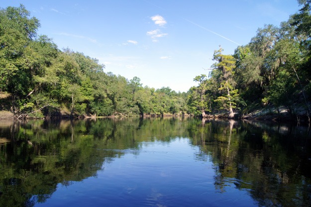 The Suwannee River (near White Springs)