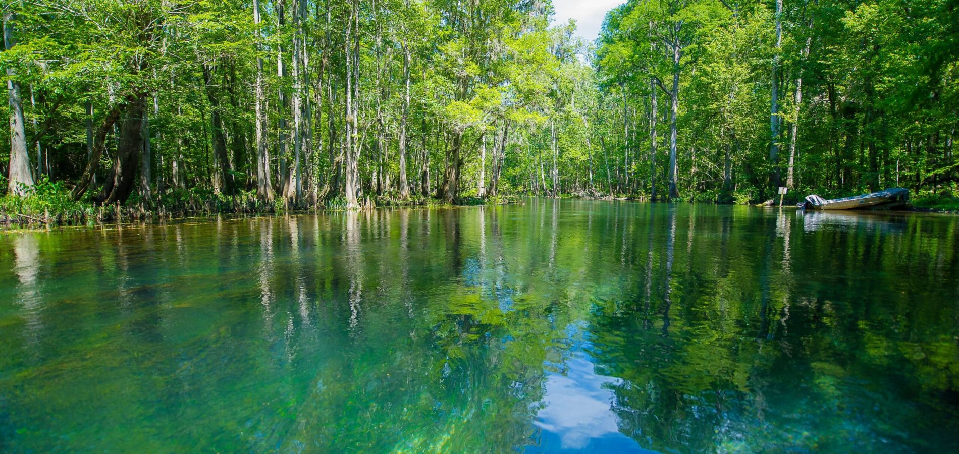 |a kayaker in Ichetucknee Springs|people paddleboarding on ichetucknee springs