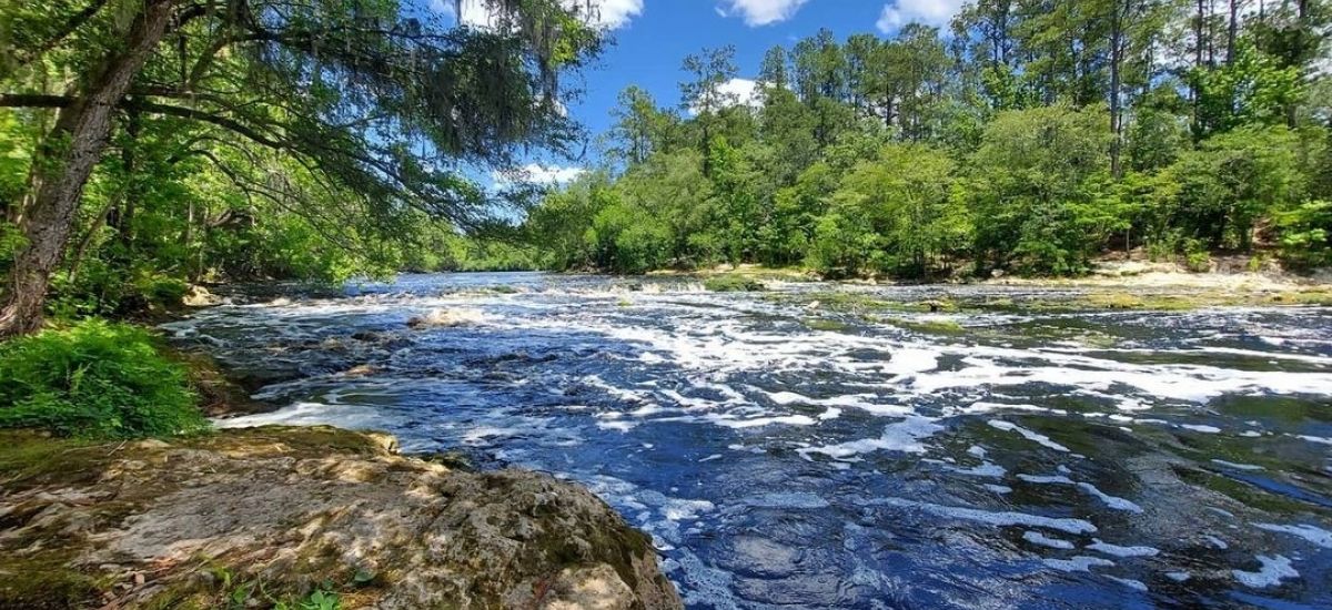 Big Shoals State Park