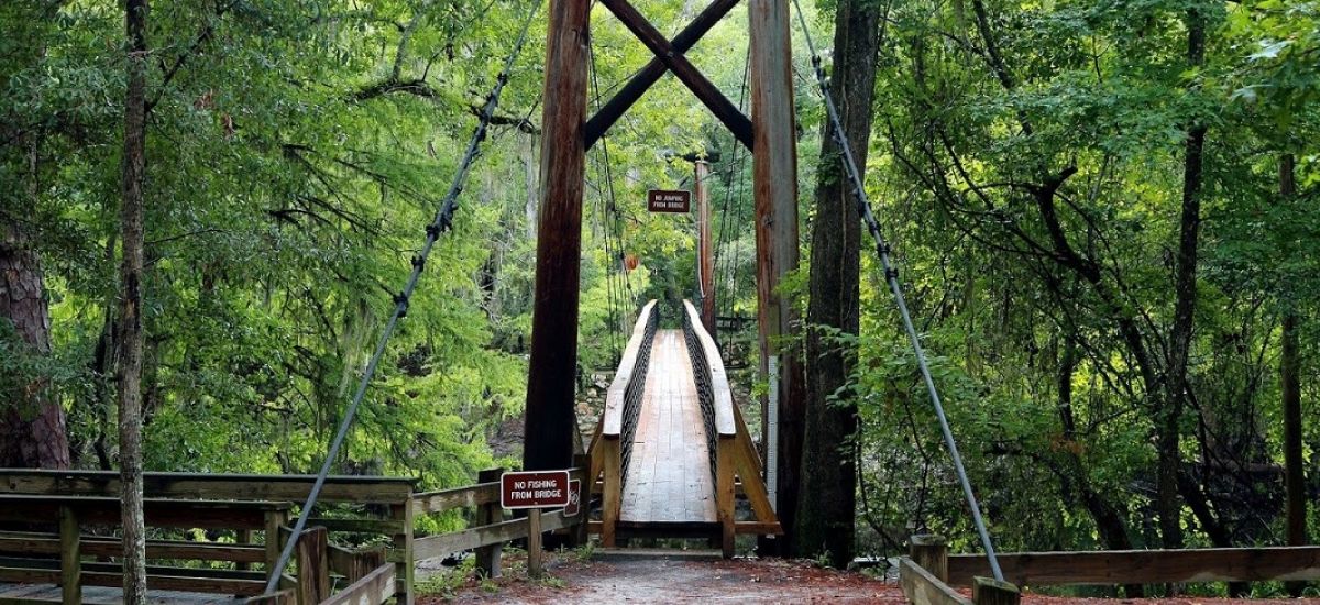 a bridge in O'Leno State Park